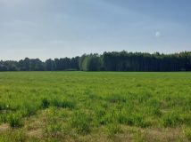 Działka rolno-budowlana Zamęty. Zdjęcie 3