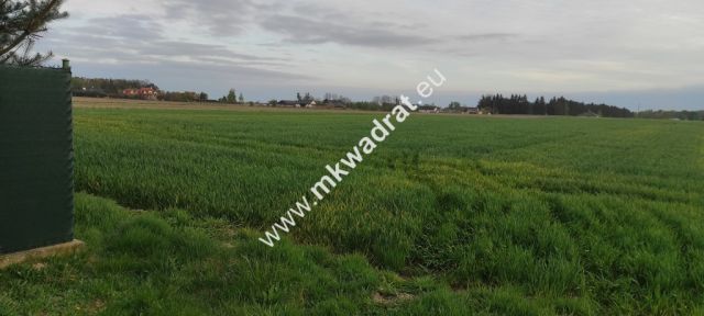 Działka budowlana Pasikonie. Zdjęcie 9