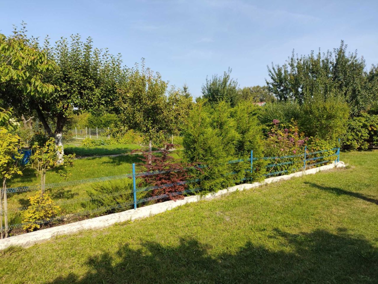 Działka rod Wałcz Raduń. Zdjęcie 3