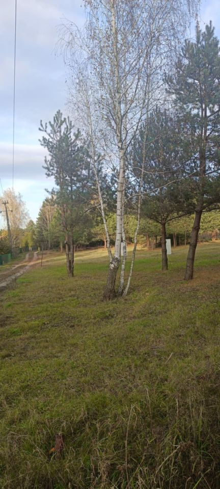 Działka budowlana Huta Podgórna, Wzgórze. Zdjęcie 5