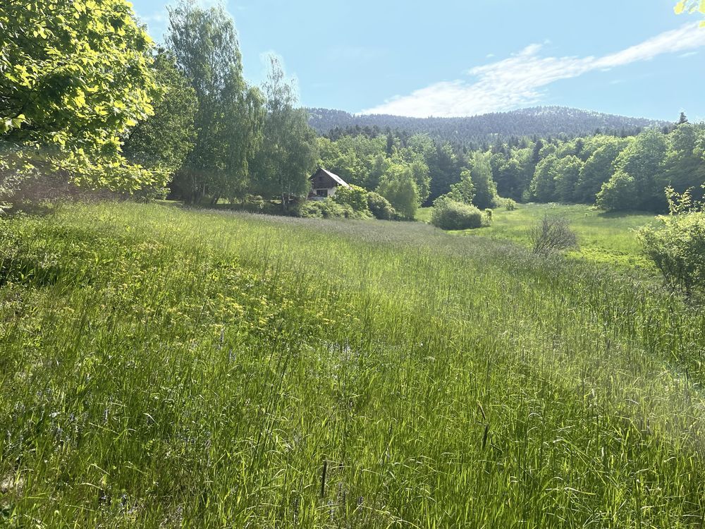 Działka budowlana Wierzbanowa. Zdjęcie 3