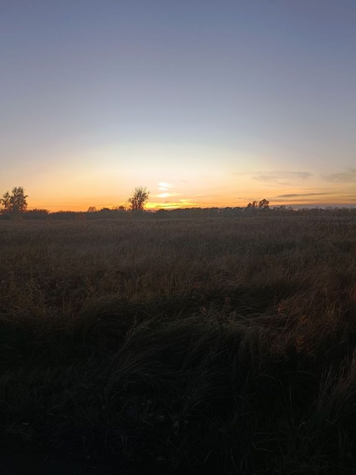 Działka rolna Nadbrzeż. Zdjęcie 3