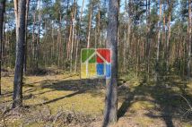 Działka leśna Kiełpieniec Mniszek. Zdjęcie 3