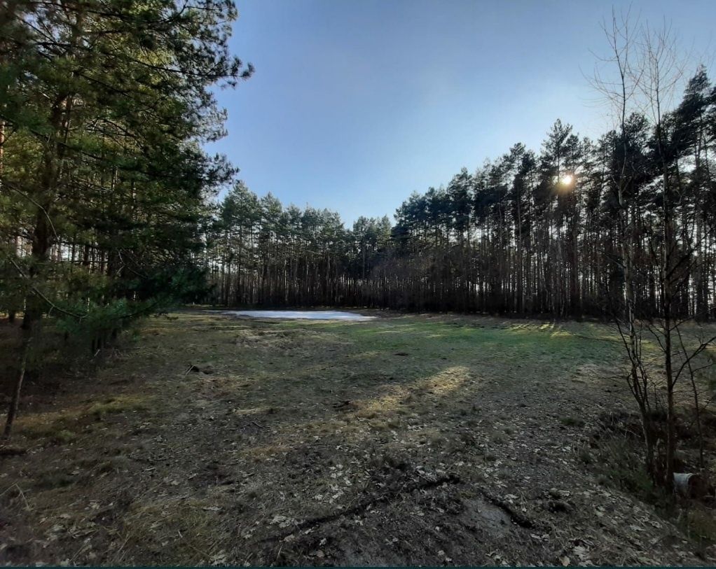 Działka rolno-budowlana Ożarowice, ul. Tarnogórska. Zdjęcie 5