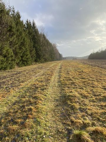 Działka rolna Baranów. Zdjęcie 2