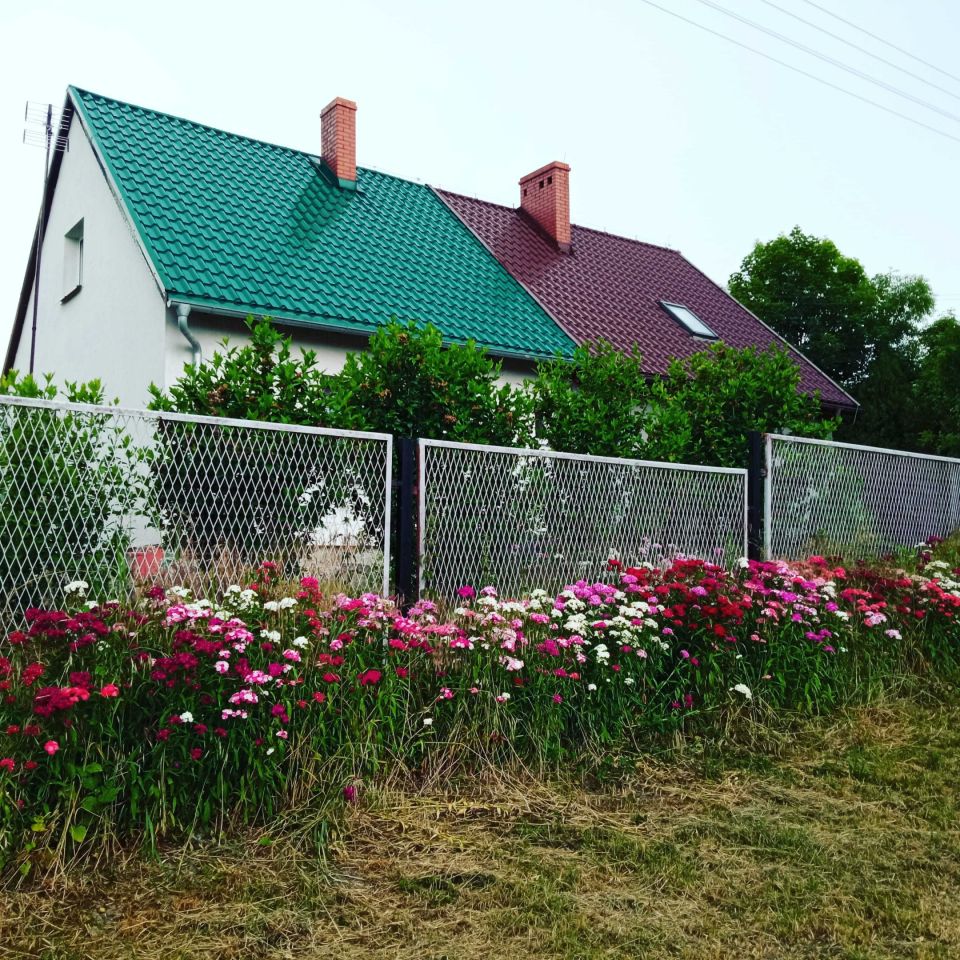 bliźniak, 3 pokoje Lewice. Zdjęcie 5