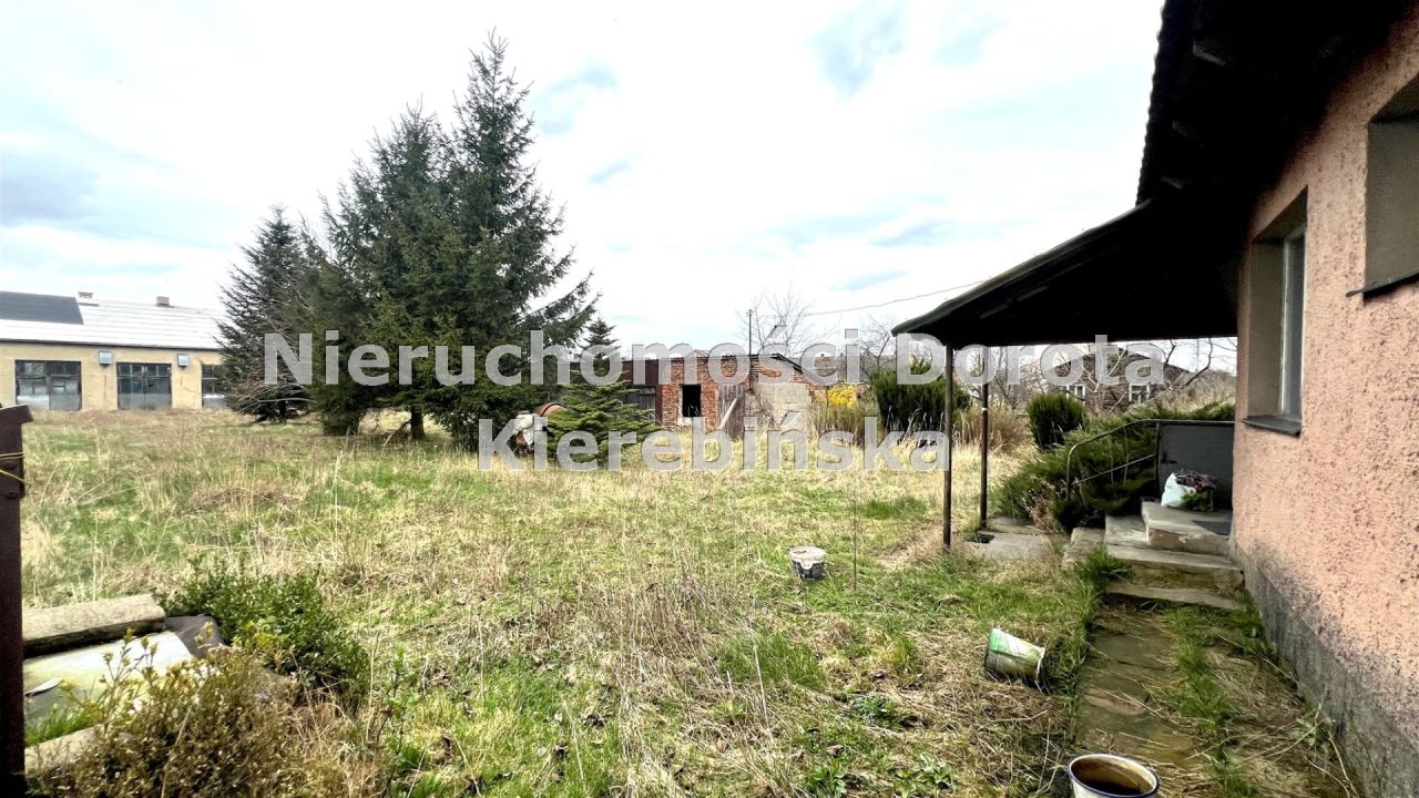 Działka Polichno. Zdjęcie 17