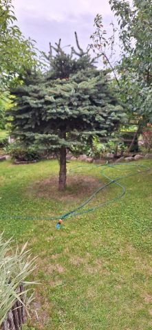 Działka rod Bydgoszcz Szwederowo. Zdjęcie 10