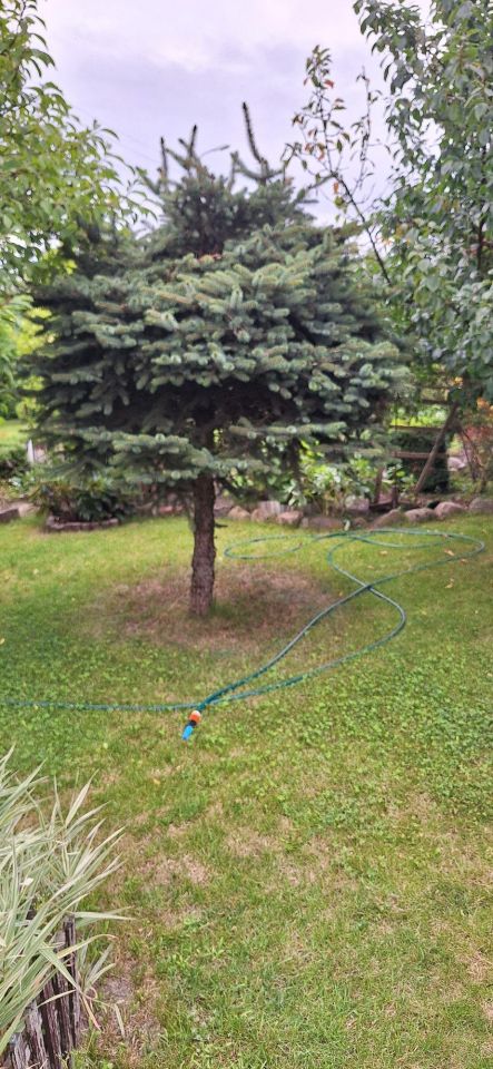 Działka rod Bydgoszcz Szwederowo. Zdjęcie 10