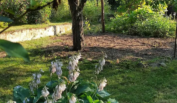 Działka rod Wilkanowo