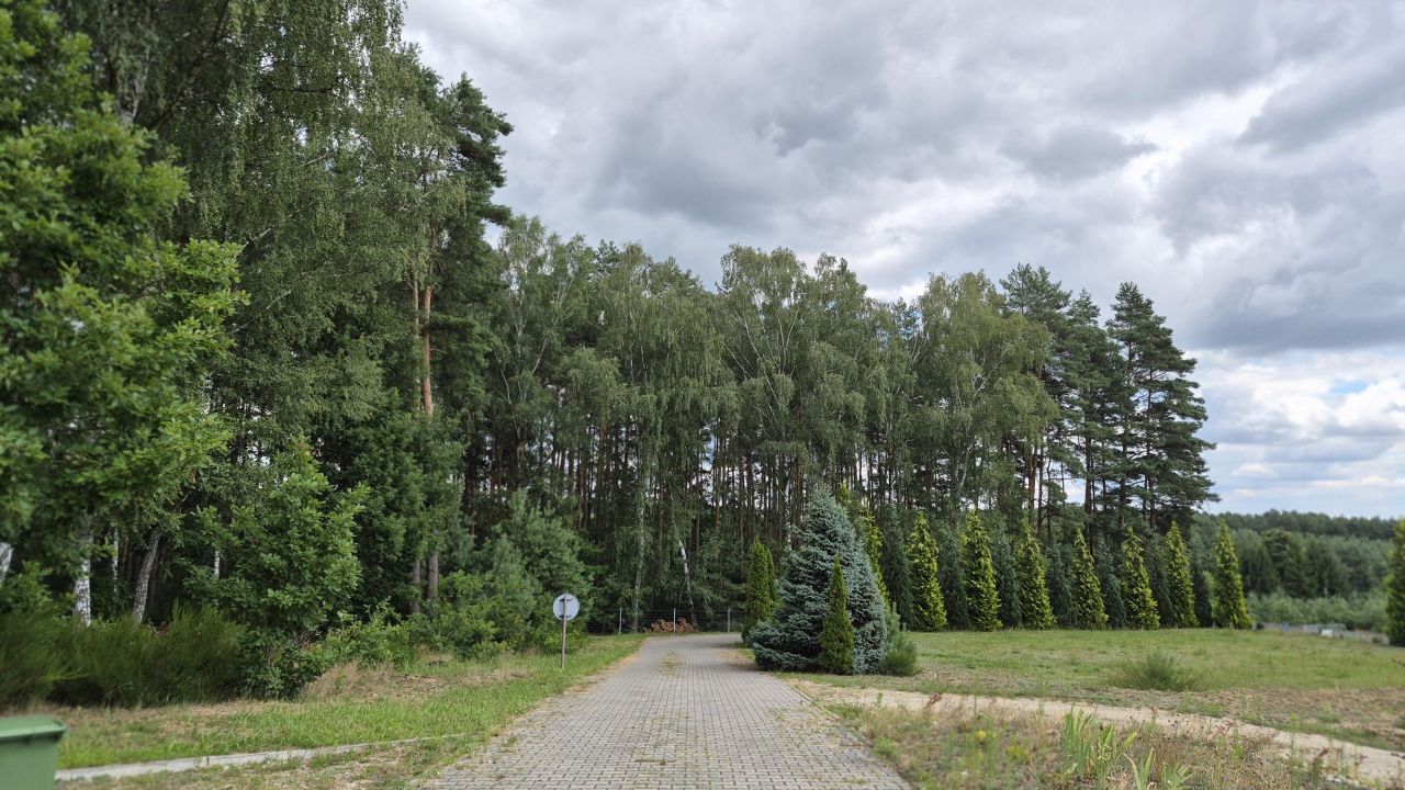 dom wolnostojący, 8 pokoi Bukowina Sycowska. Zdjęcie 3