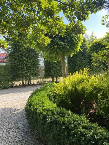 dom wolnostojący, 5 pokoi Wierzbice, ul. Ślężańska. Zdjęcie 17