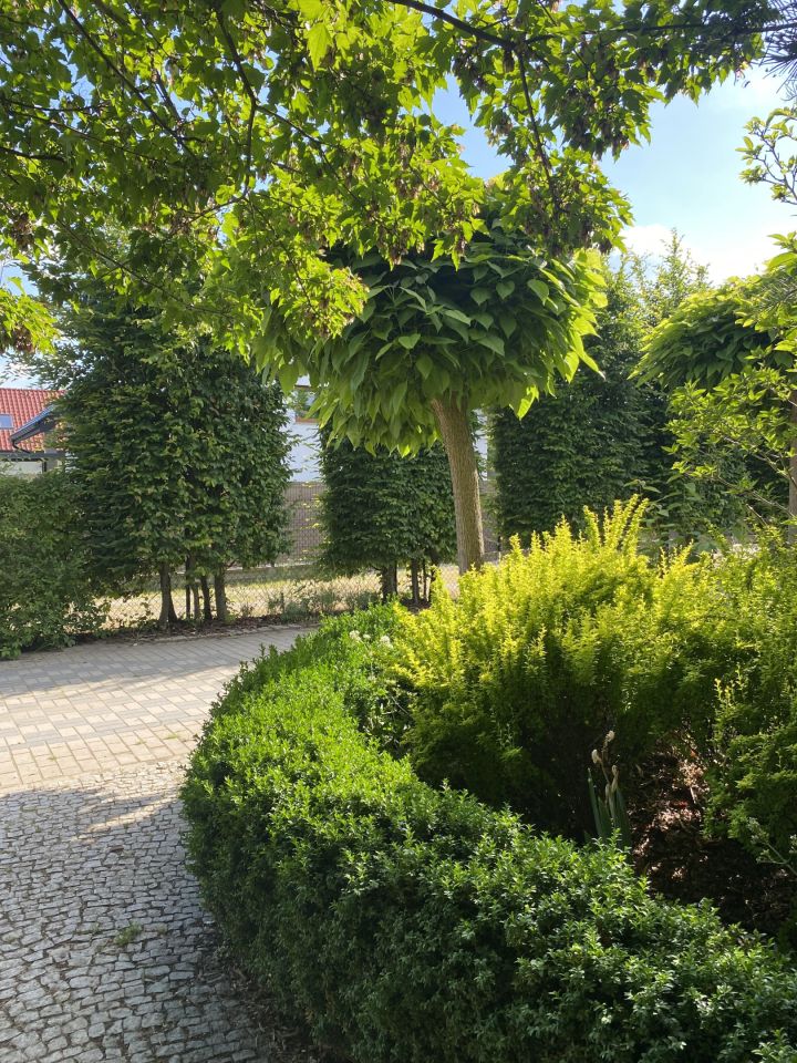 dom wolnostojący, 5 pokoi Wierzbice, ul. Ślężańska. Zdjęcie 17
