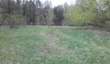 Działka rolno-budowlana Brzezie