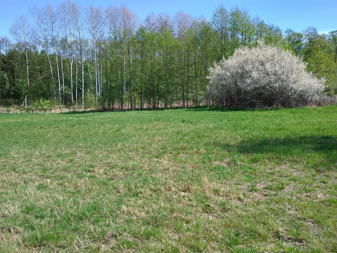 Działka budowlana Malerzów, ul. Bociania. Zdjęcie 5