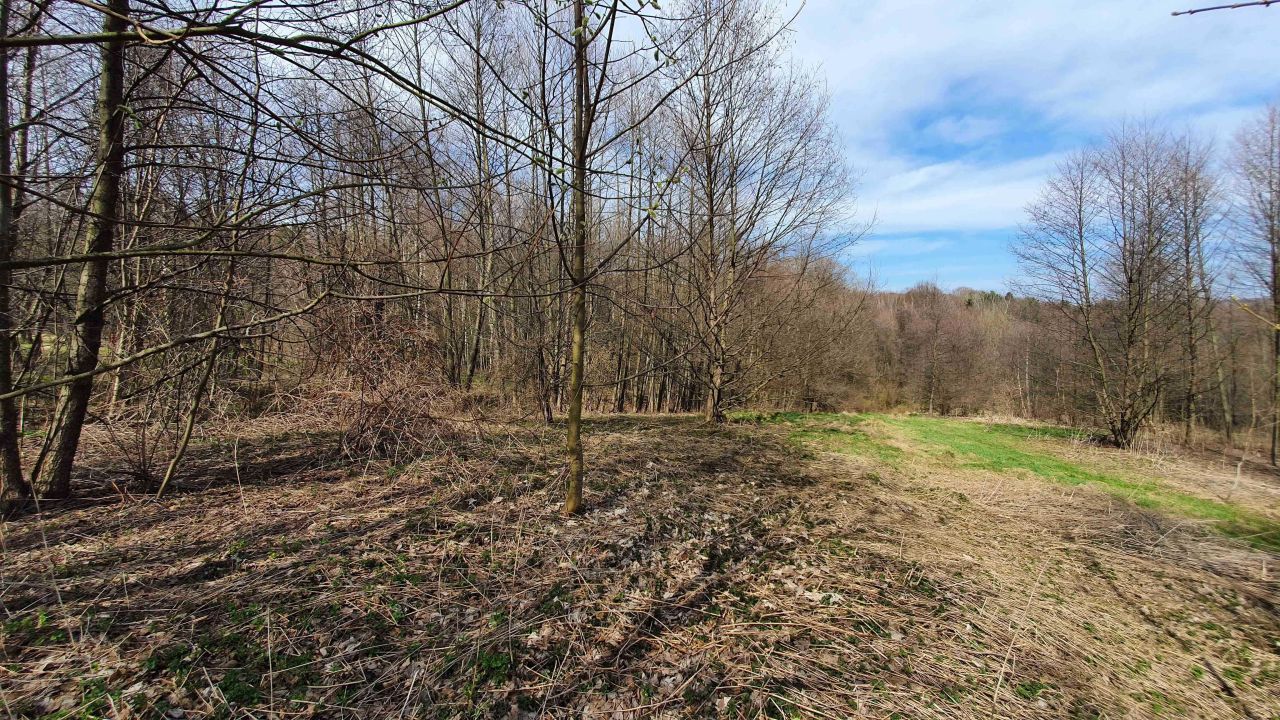 Działka budowlana Borówki. Zdjęcie 7