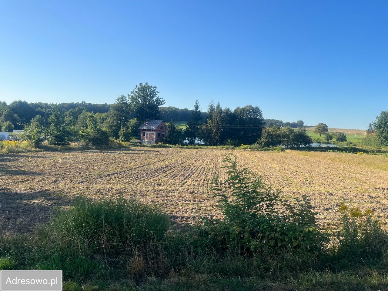 Działka rolno-budowlana Studniska Dolne. Zdjęcie 4