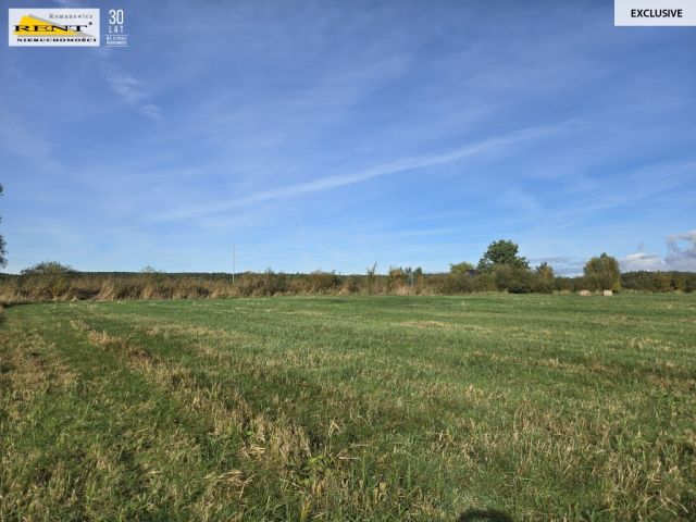 Działka rolna Dobra, ul. Dereszowa. Zdjęcie 5