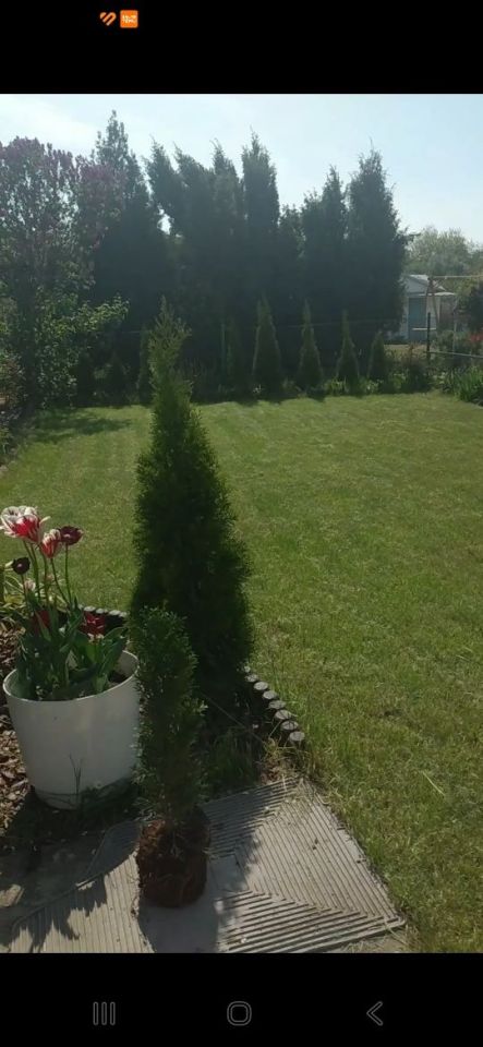 Działka rod Kędzierzyn-Koźle Kędzierzyn, ul. Ogrodowa. Zdjęcie 3