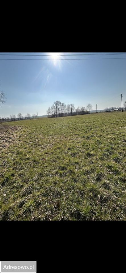 dom wolnostojący, 4 pokoje Strzelce. Zdjęcie 4