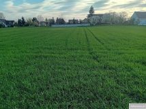 Działka rolno-budowlana Mokra. Zdjęcie 3