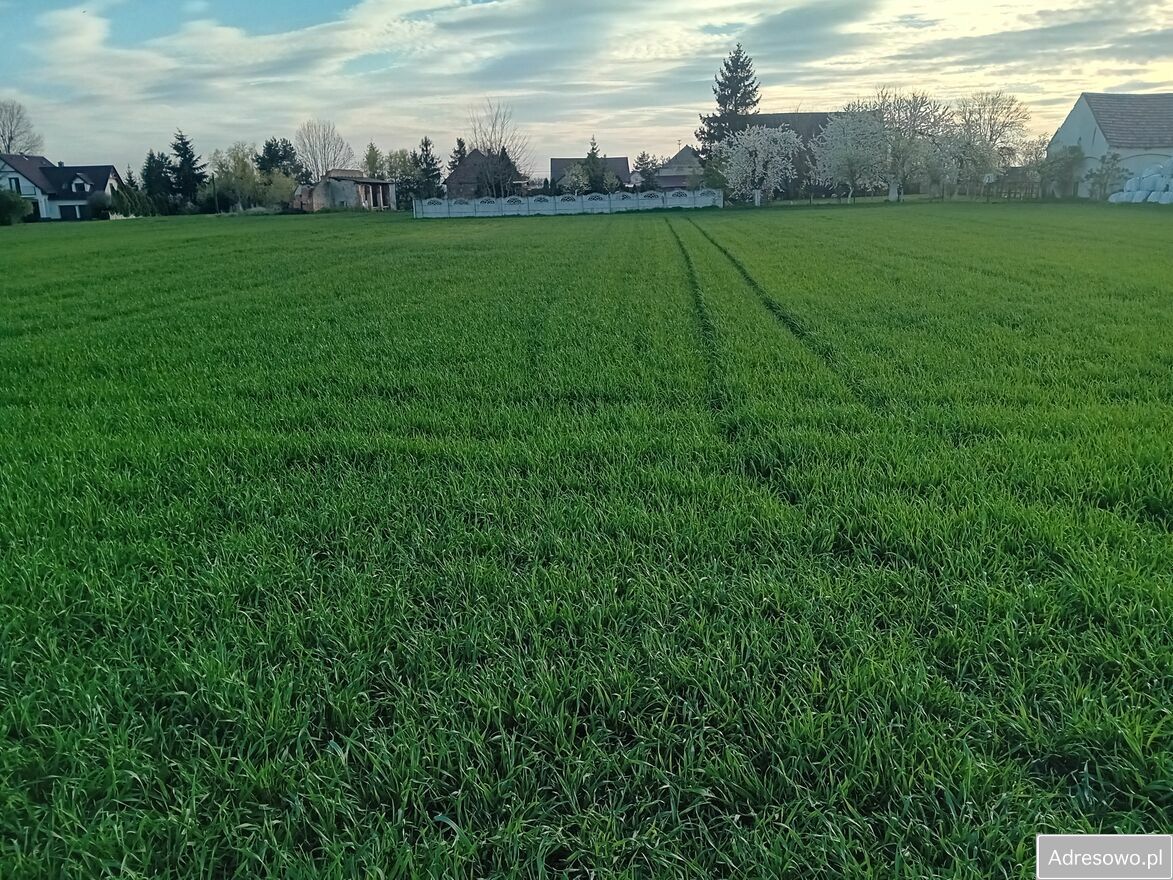 Działka rolno-budowlana Mokra. Zdjęcie 4