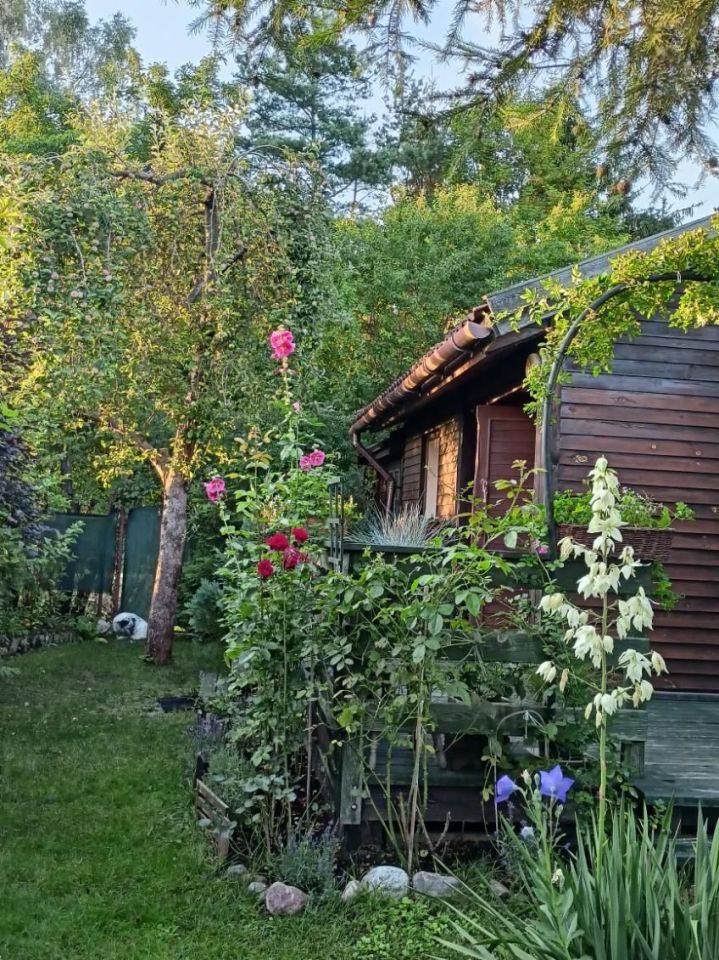 Działka rod Wadąg. Zdjęcie 4