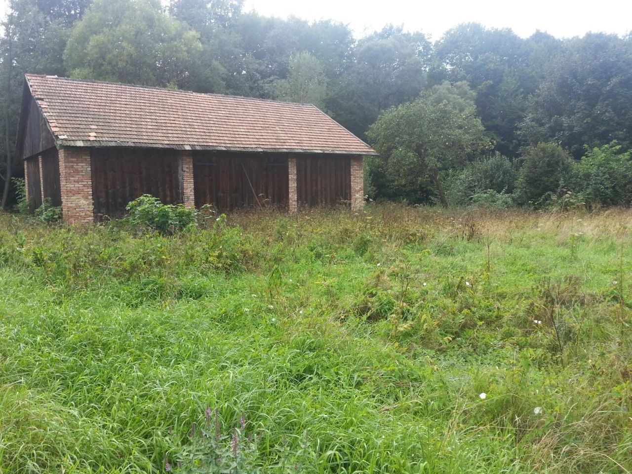 Działka rolno-budowlana Wapienne. Zdjęcie 4