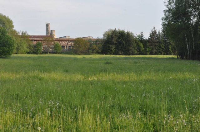 Działka rolno-budowlana Przemyśl, ul. Topolowa. Zdjęcie 1