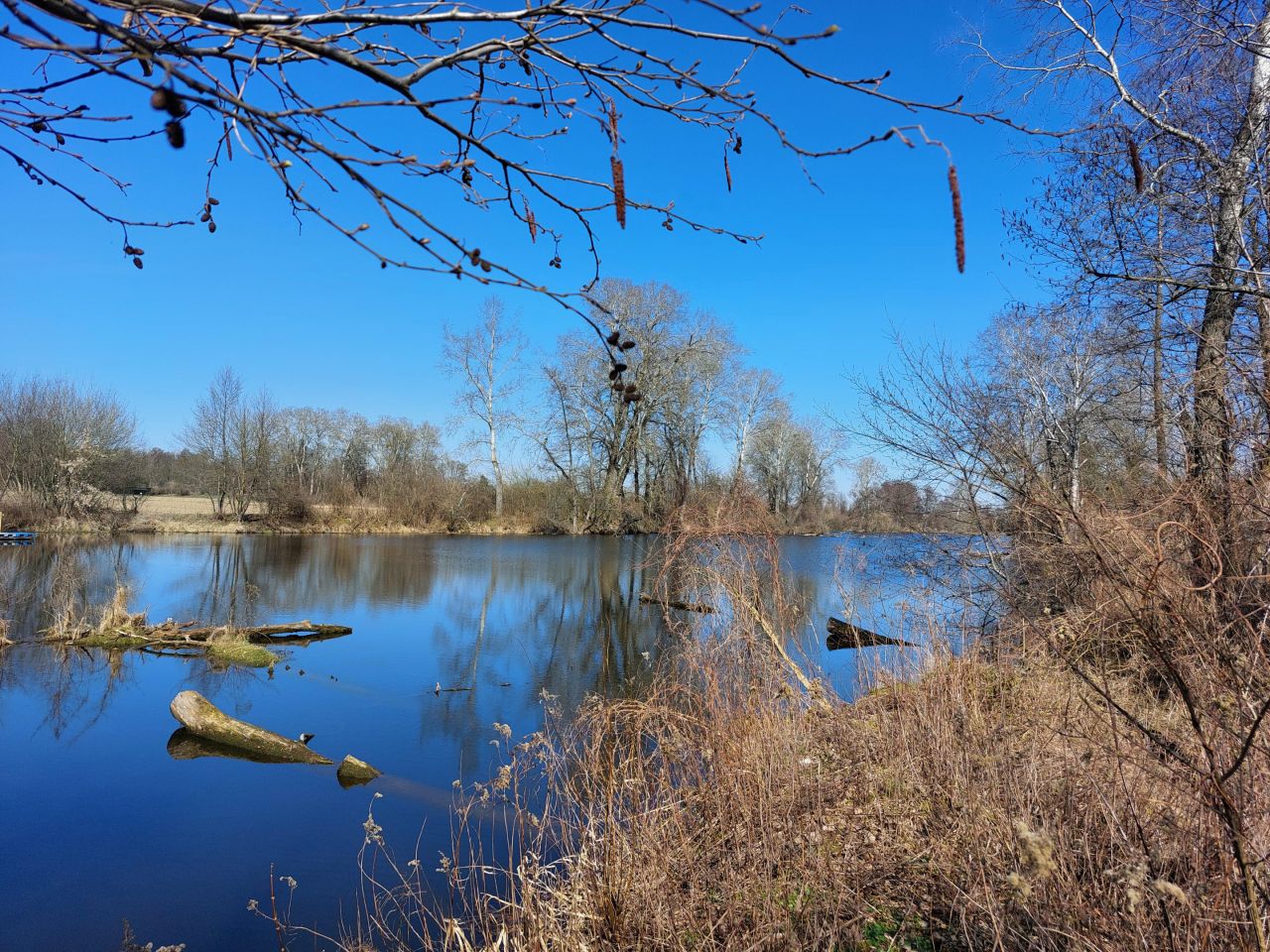 Działka budowlana Secymin Polski. Zdjęcie 7