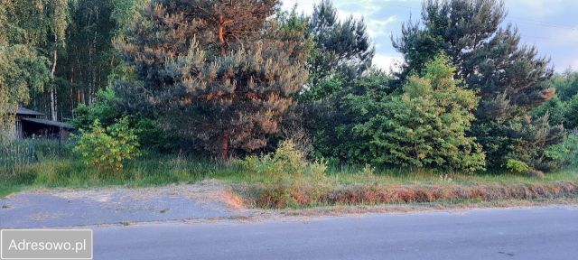 Działka rolno-budowlana Grzybowa Góra, ul. Słoneczna. Zdjęcie 1