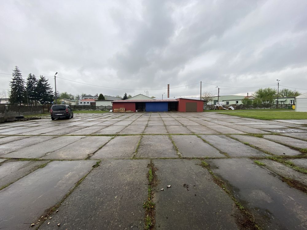 Hala/magazyn Przasnysz. Zdjęcie 4