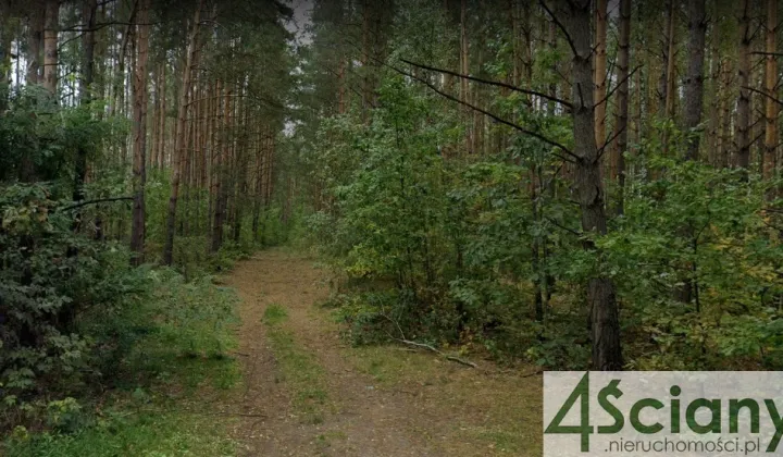 Działka budowlana Ojrzanów