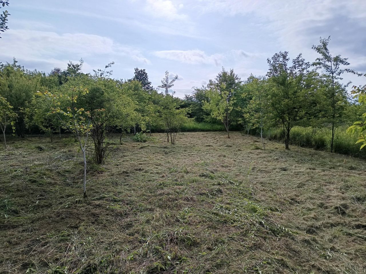 Działka rolna Mielec Cyranka, ul. Cyranowska. Zdjęcie 13