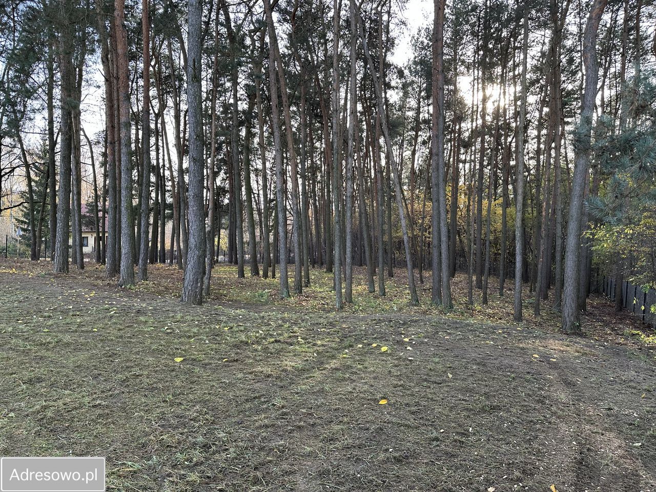 Działka budowlana Słupno, ul. Miszewska. Zdjęcie 5