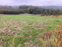 Działka rolna Paczółtowice. Zdjęcie 2