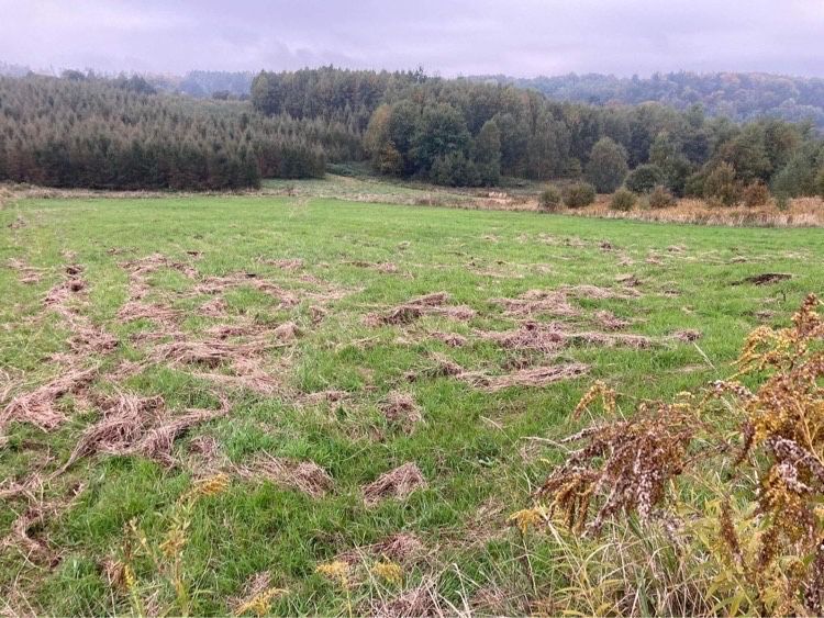 Działka rolna Paczółtowice. Zdjęcie 3