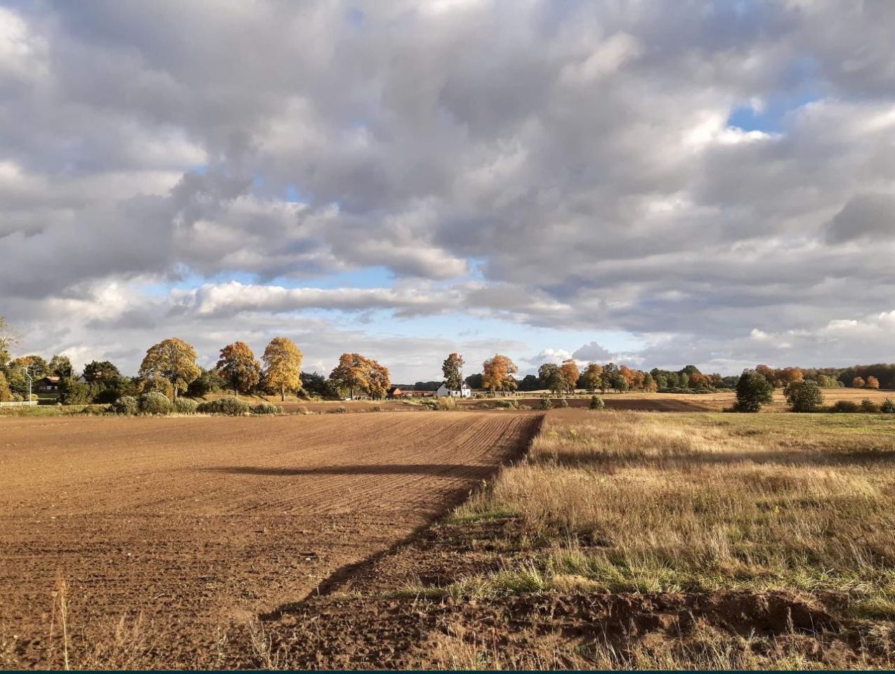 Działka rolna Juchowo. Zdjęcie 6