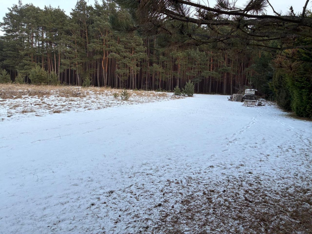 Działka rekreacyjna Gruszeczka. Zdjęcie 6