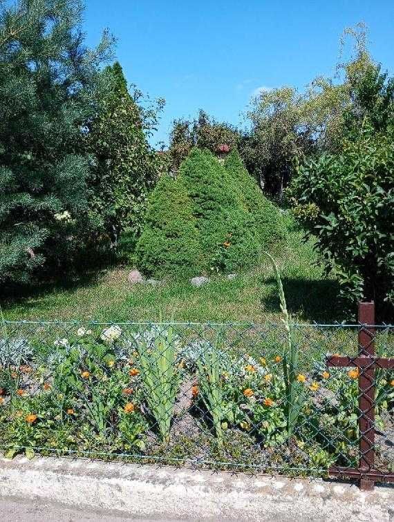 Działka rod Pleszew, ul. Wierzbowa. Zdjęcie 6