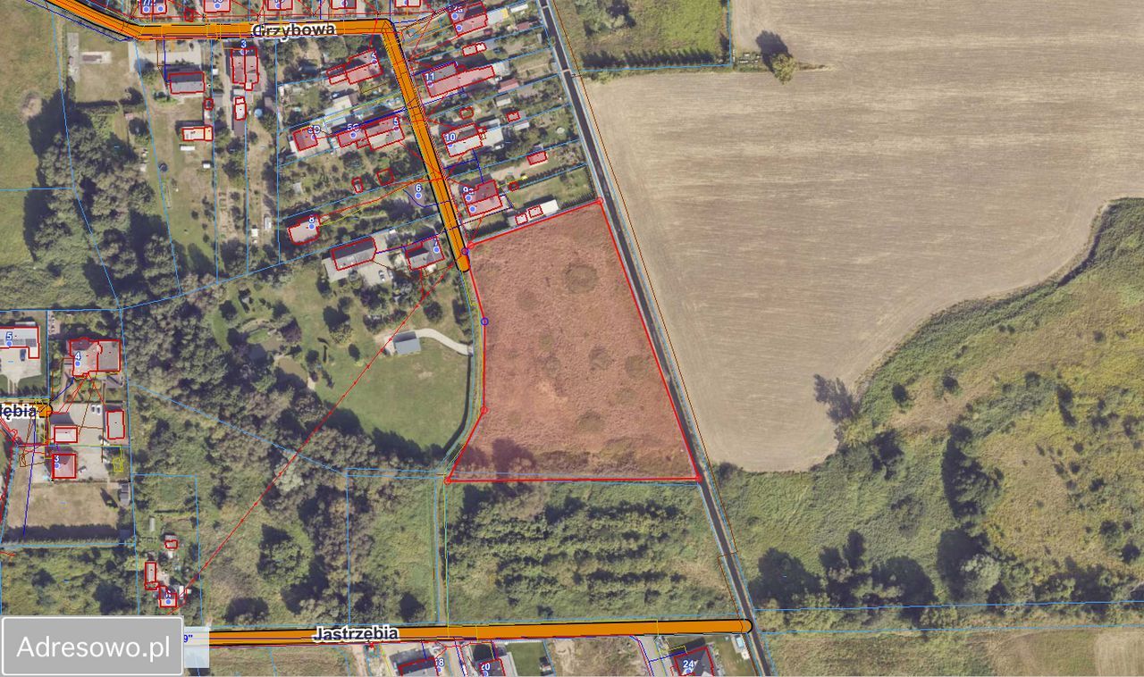 Działka budowlana Słubice, ul. Grzybowa. Zdjęcie 2