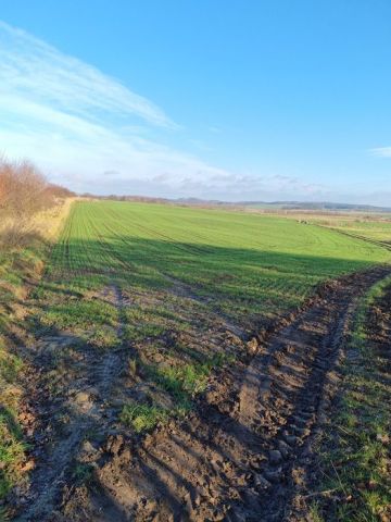 Działka budowlana Gołębiewo Wielkie, ul. Wrzosowa. Zdjęcie 1