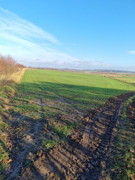 Działka budowlana Gołębiewo Wielkie, ul. Wrzosowa