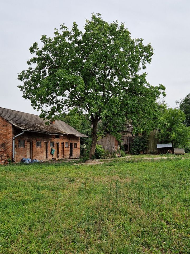 dom wolnostojący Nienadówka. Zdjęcie 5