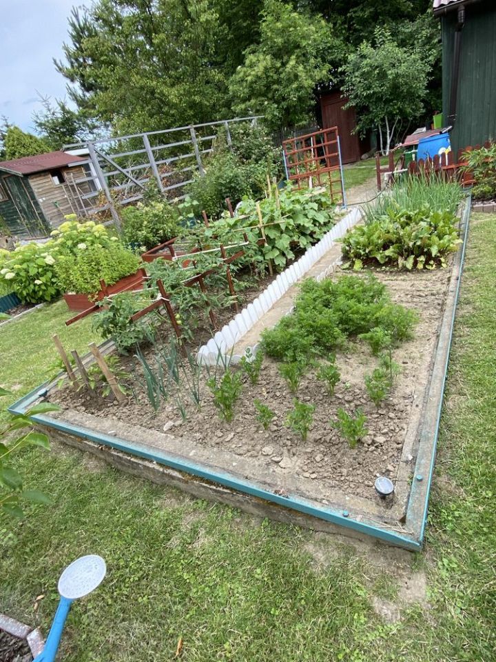 Działka rod Płock. Zdjęcie 7