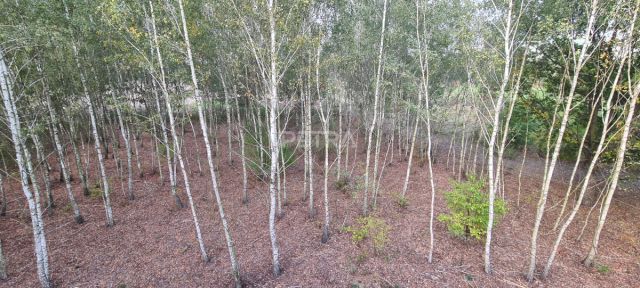 bliźniak, 6 pokoi Leszno. Zdjęcie 17