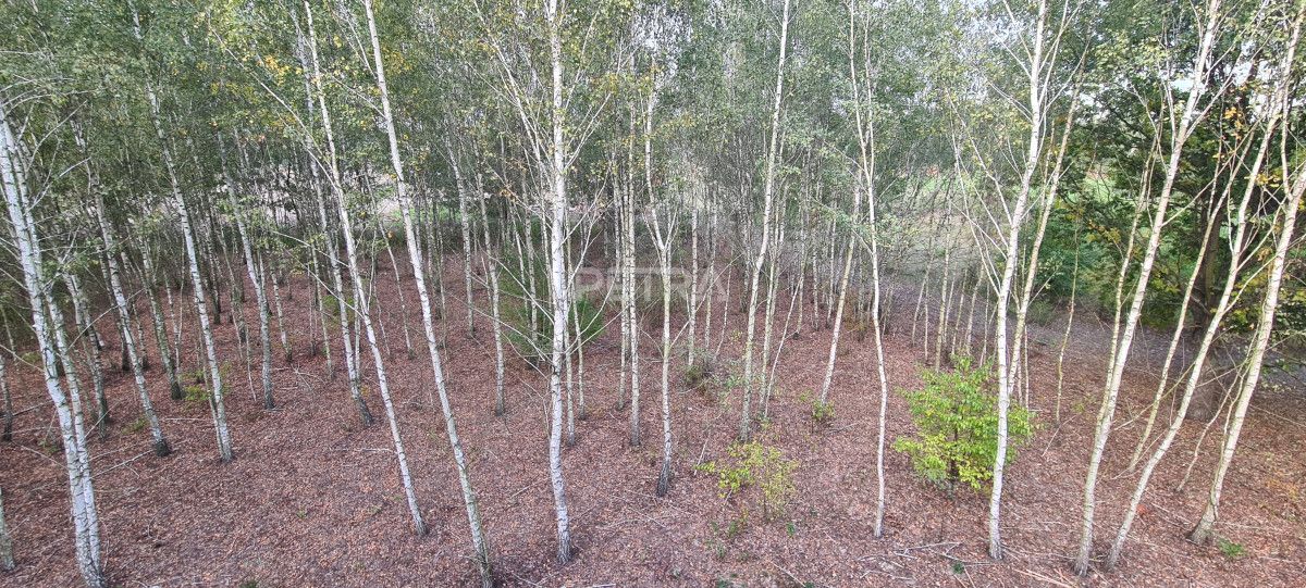 bliźniak, 6 pokoi Leszno. Zdjęcie 17