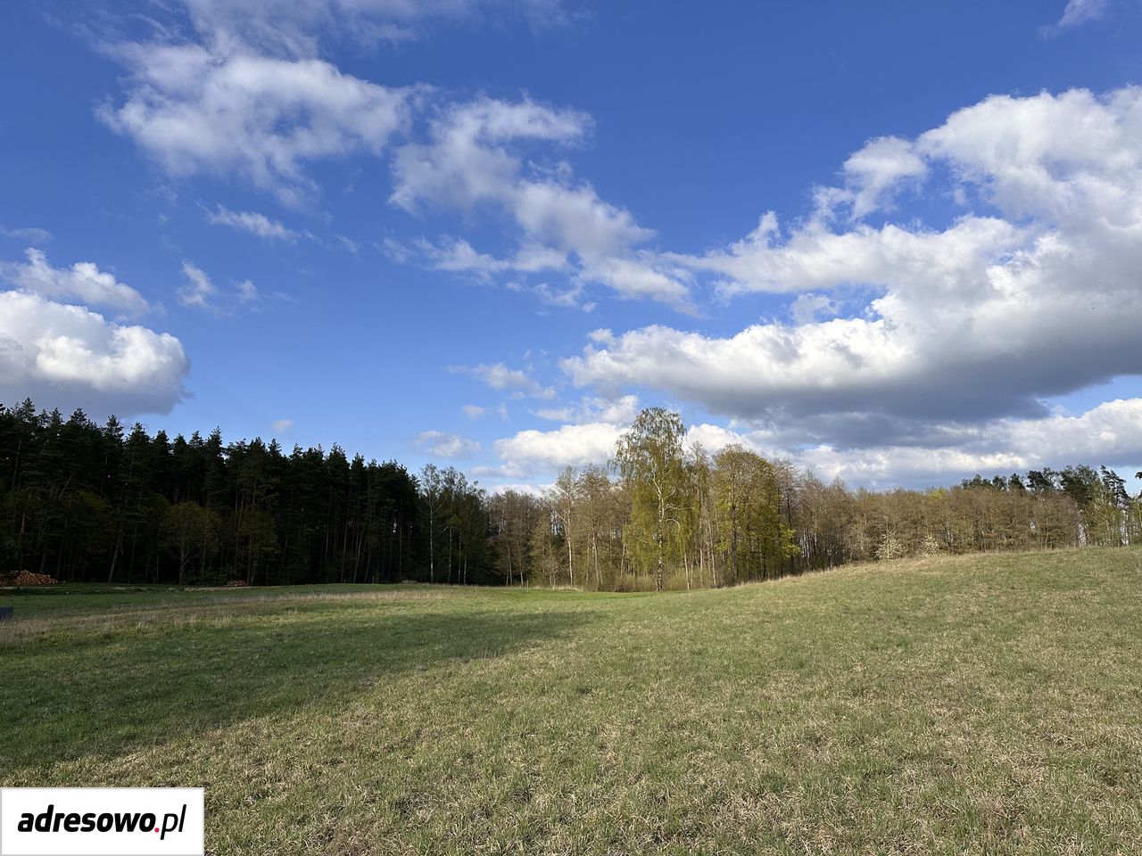 Działka rolna Dobra Wola. Zdjęcie 3