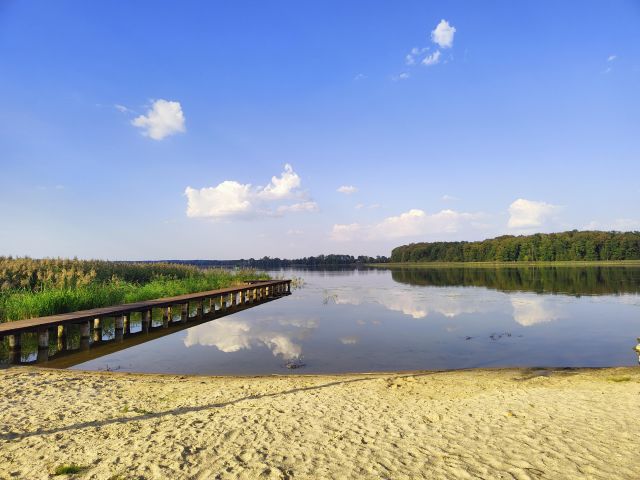 Działka rolno-budowlana Koziki. Zdjęcie 1