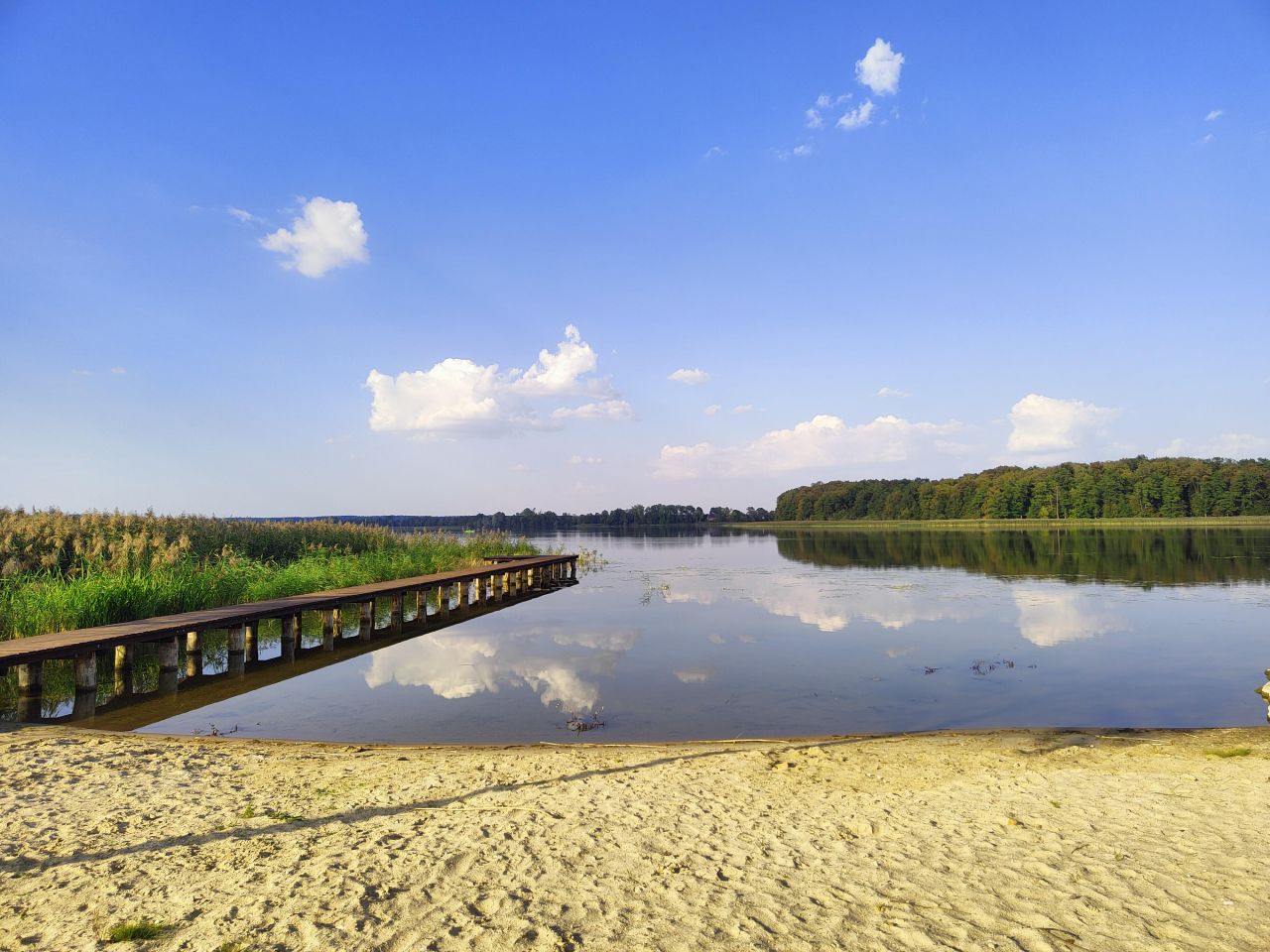 Działka rolno-budowlana Koziki